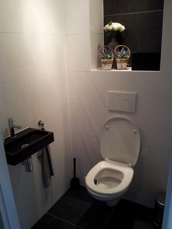 Renovatie Toilet